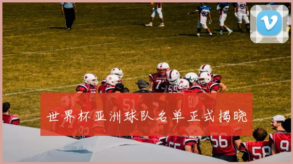 世界杯亚洲球队名单正式揭晓
