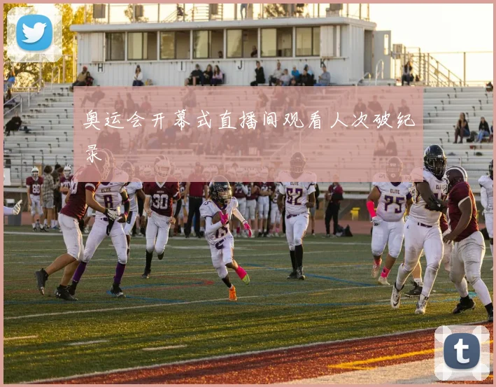 奥运会开幕式直播间观看人次破纪录