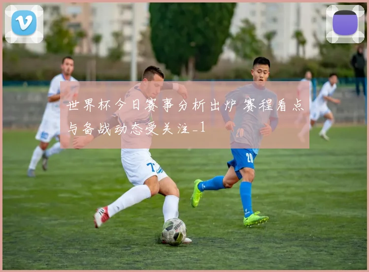 世界杯今日赛事分析出炉 赛程看点与备战动态受关注_1