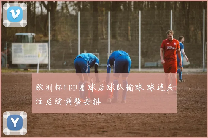 欧洲杯app看球后球队输球 球迷关注后续调整安排